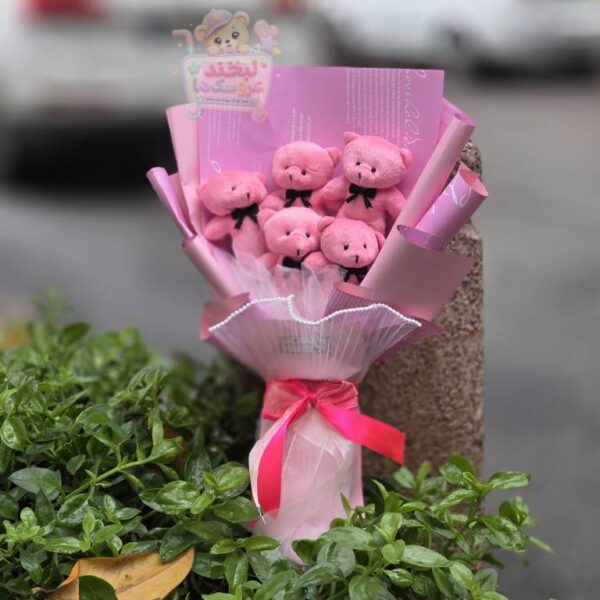 پک کادویی خرس 5 عددی صورتی